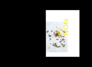 <h1>"Non ya"</h1>
 <br><br>

Photobook, Berlin 2018<br>
Hardcover<br>
196 Pages<br><br>

Winner Unseen Dummy Award 2019<br>
Shortlisted Kassel Dummy Award 2019<br><br>

 


An autobiographic work about
creating a multinational family
and migrating to Germany.
Still lifes of everyday‘s objects
and portraits are telling us
the story of three people from
three different origins
– A coming together of multiple
cultural heritages and family
ideas – A narrative about
a new home, decipherment
of the otherness and
establishment of the common.